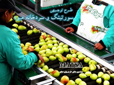 طرح توجیهی سورتینگ میوه