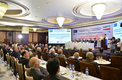 لزوم تسهیل روابط بانکی و بازنگری در تعرفه وارداتی اتحادیه اروپا از ایران