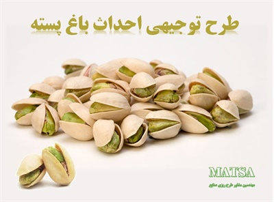 طرح توجیهی باغ پسته
