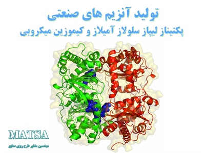 طرح توجیهی تولید آنزیم های صنعتی