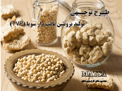 طرح توجیهی پروتئین بافت دار سویا TVP