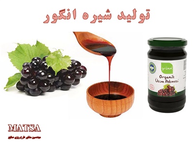 طرح توجیهی شیره انگور