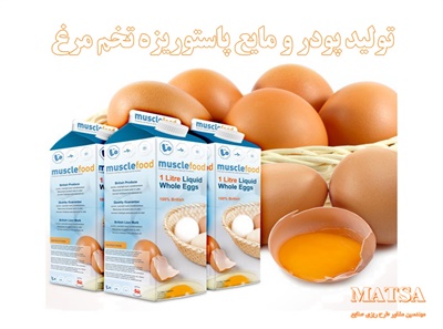 طرح توجیهی پودر و مایع پاستوریزه تخم مرغ