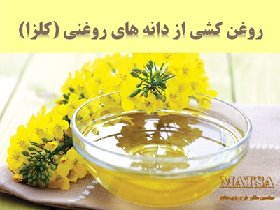 طرح توجیهی روغن کشی از دانه های روغنی