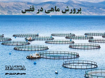 طرح توجیهی پرورش ماهی در قفس