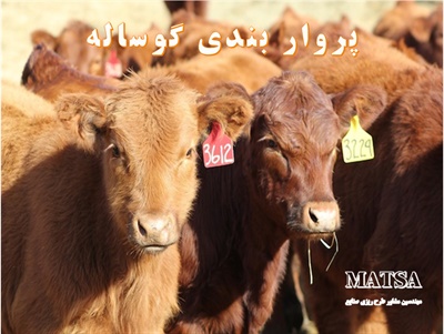 طرح توجیهی پرواربندی گوساله