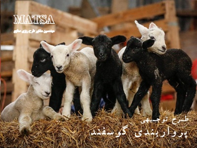 طرح توجیهی پرواربندی بره