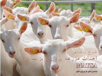 طرح توجیهی پرورش بز سانن