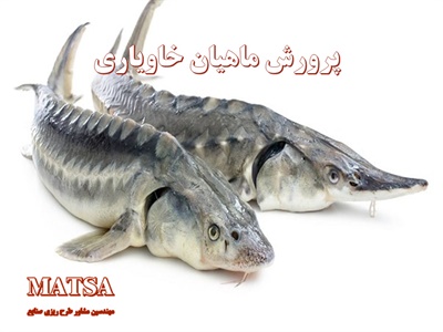 طرح توجیهی پرورش ماهی خاویار