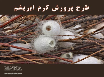 طرح توجیهی پرورش کرم ابریشم