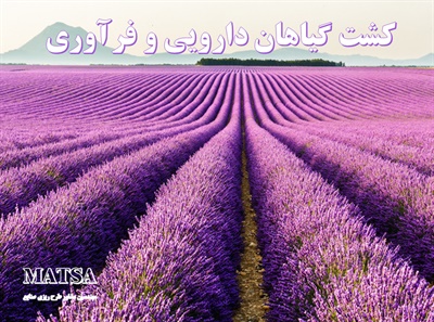 طرح توجیهی کشت گیاهان دارویی و فرآوری