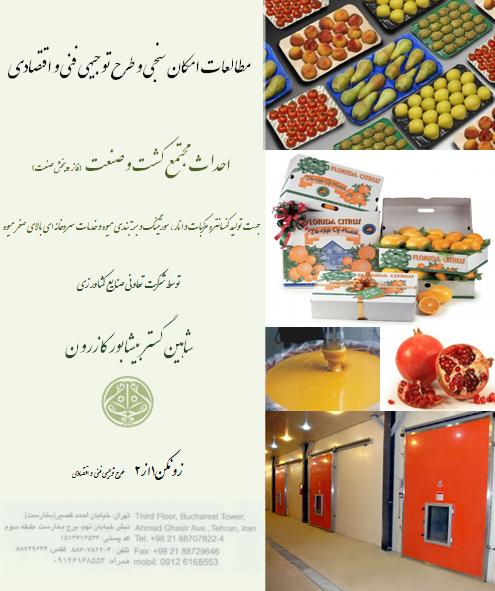 مطالعات امکانسنجی و طرح توجيهی مجتمع کشت و صنعت جهت توليد کنسانتره مرکبات و انار ، سورتينگ